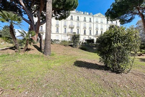 ONE BEDROOM APARTMENT WITH SEAVIEW IN CANNES